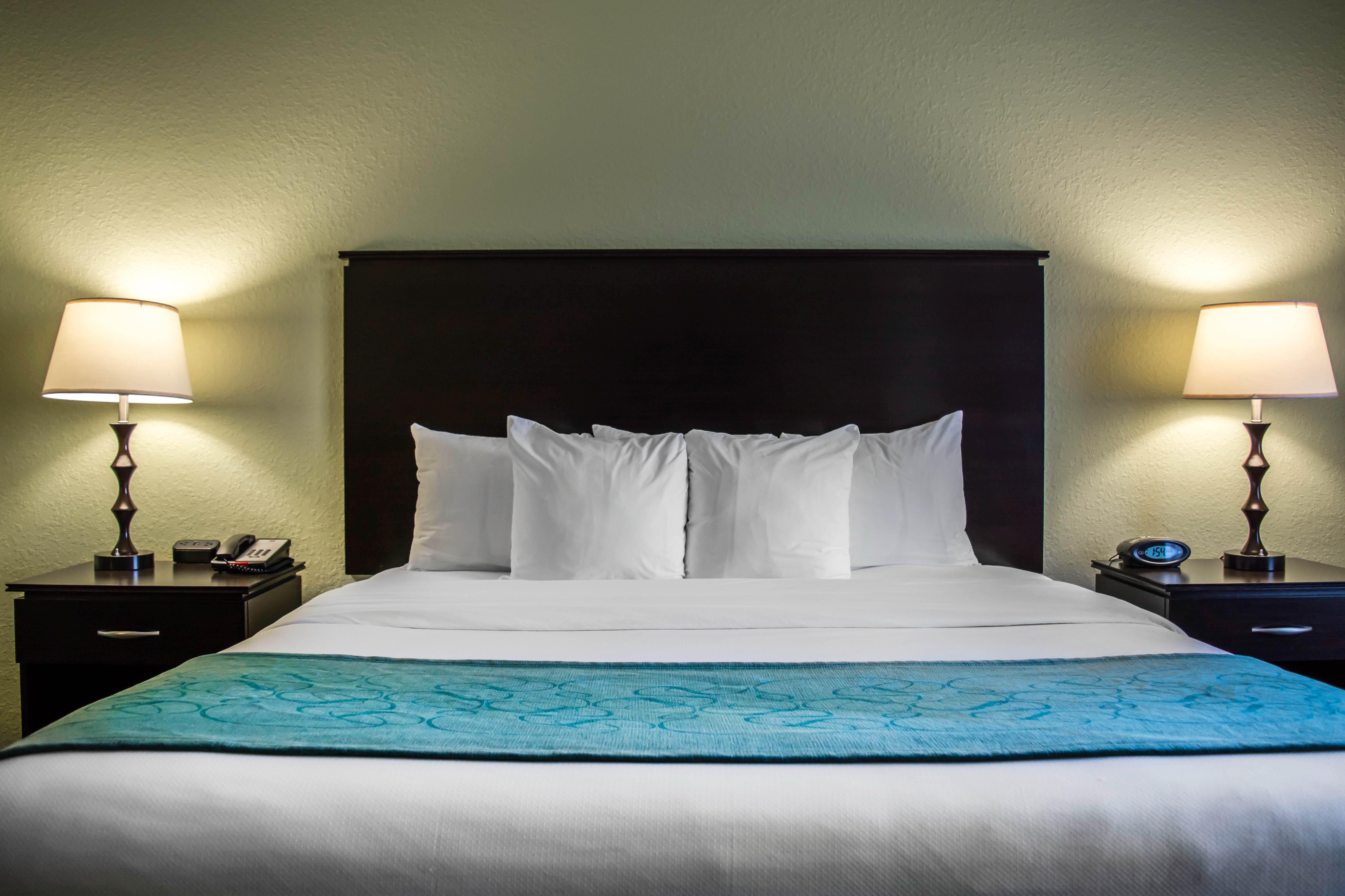 Hampton Inn By Hilton Tampa Fairgrounds Casino Extérieur photo