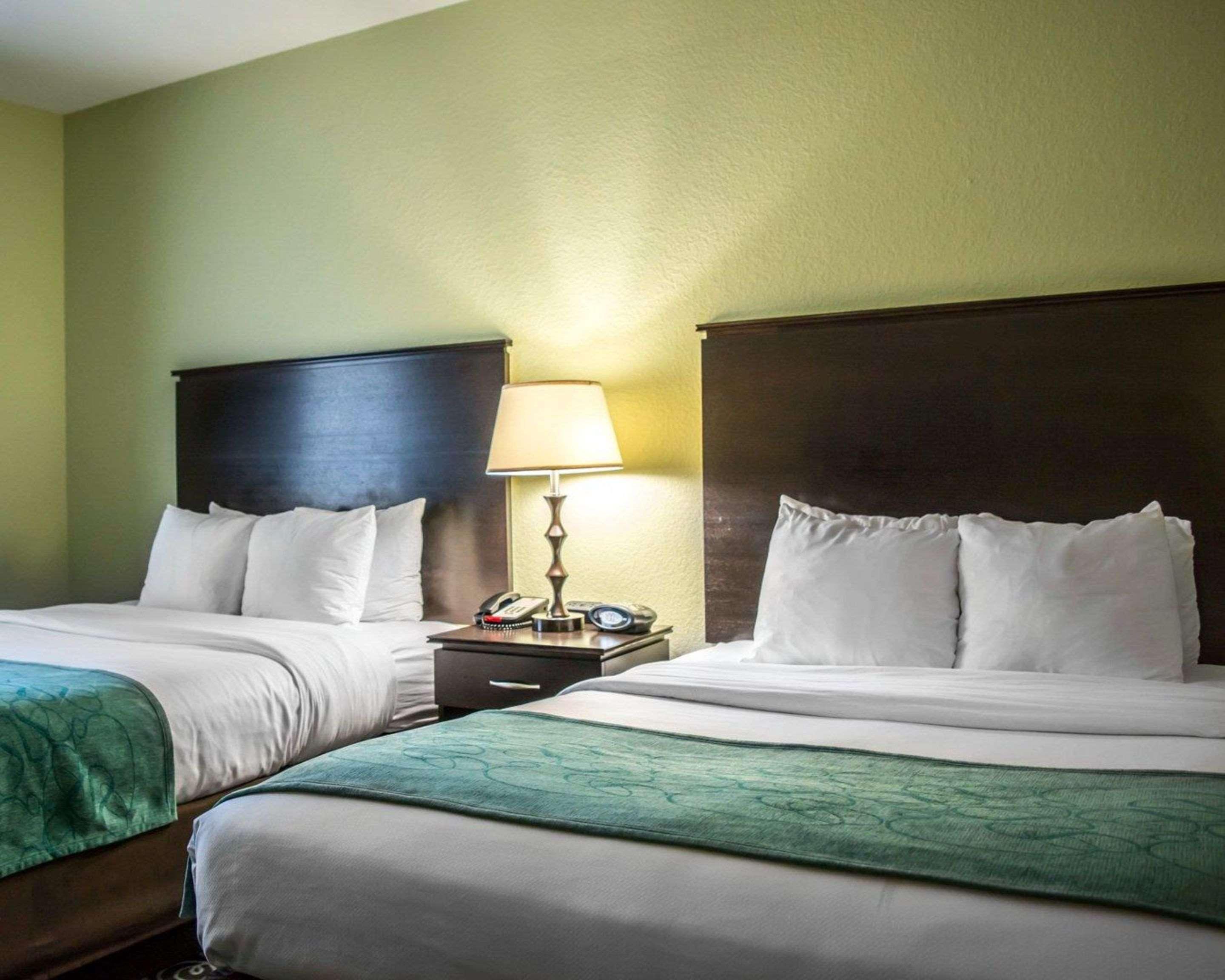 Hampton Inn By Hilton Tampa Fairgrounds Casino Extérieur photo